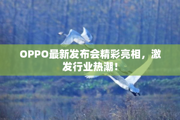 OPPO最新发布会精彩亮相，激发行业热潮！