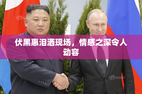 伏黑惠泪洒现场，情感之深令人动容