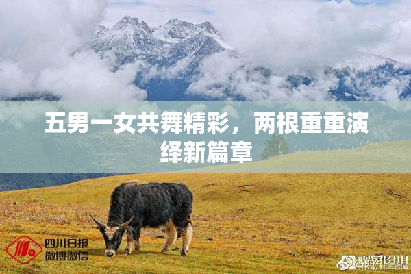 五男一女共舞精彩，两根重重演绎新篇章