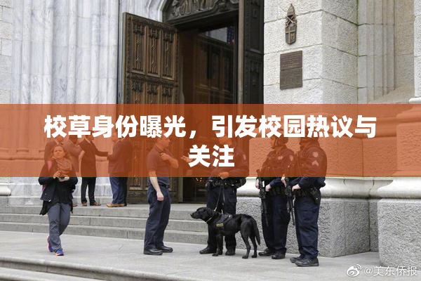 校草身份曝光，引发校园热议与关注