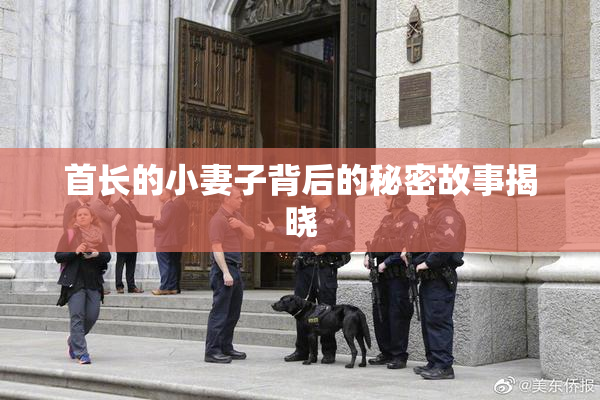 首长的小妻子背后的秘密故事揭晓