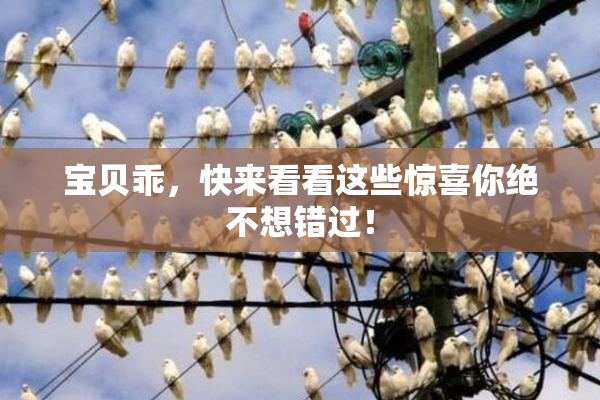 宝贝乖，快来看看这些惊喜你绝不想错过！