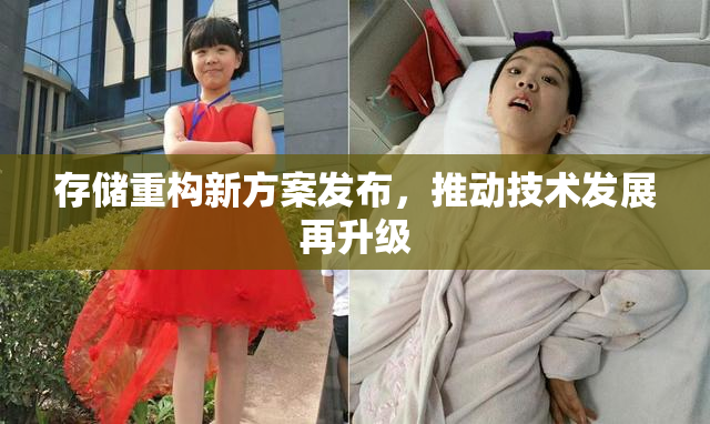 存储重构新方案发布，推动技术发展再升级