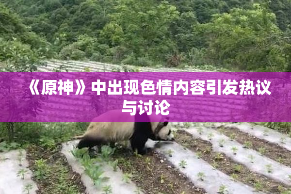 《原神》中出现色情内容引发热议与讨论