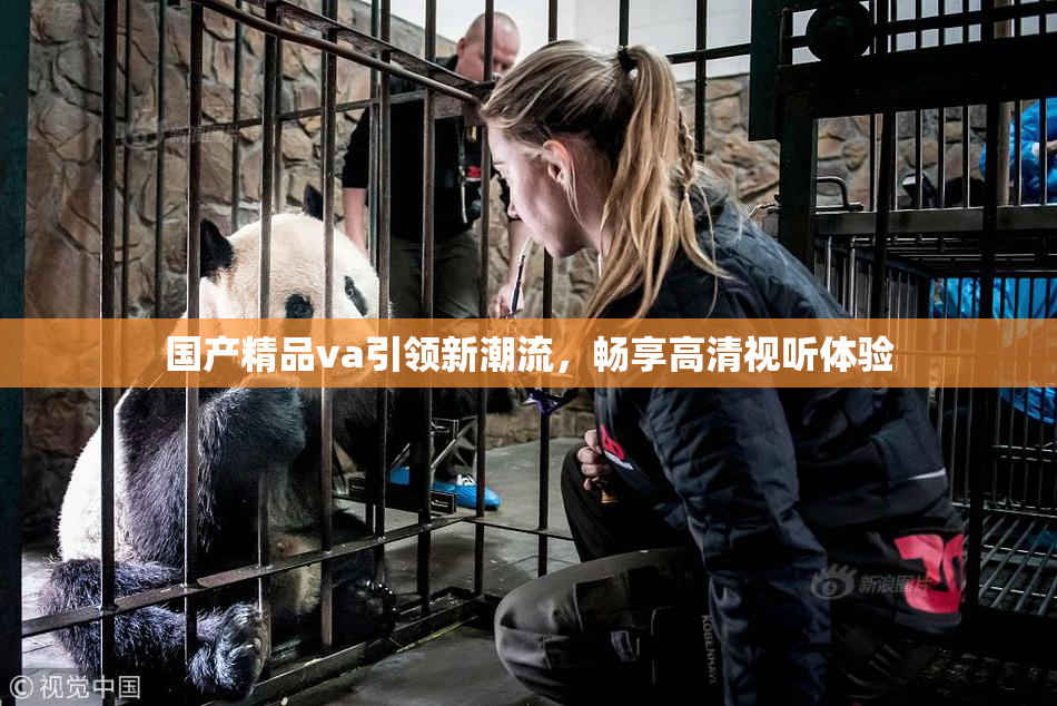 国产精品va引领新潮流，畅享高清视听体验