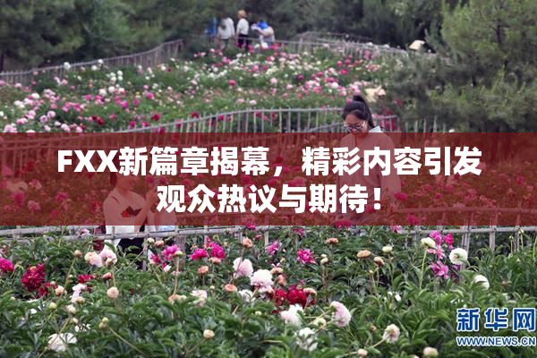 FXX新篇章揭幕，精彩内容引发观众热议与期待！