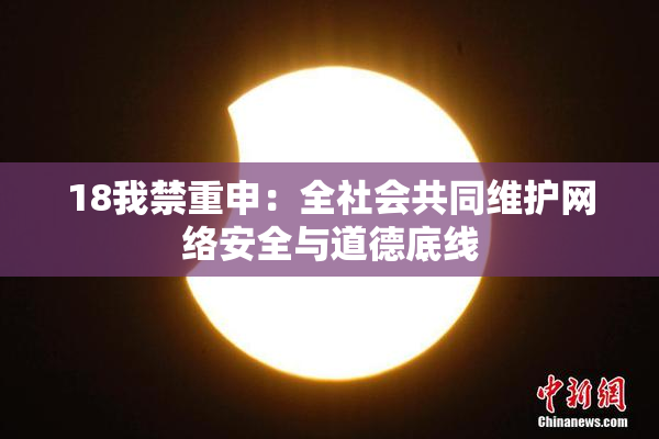 18我禁重申：全社会共同维护网络安全与道德底线