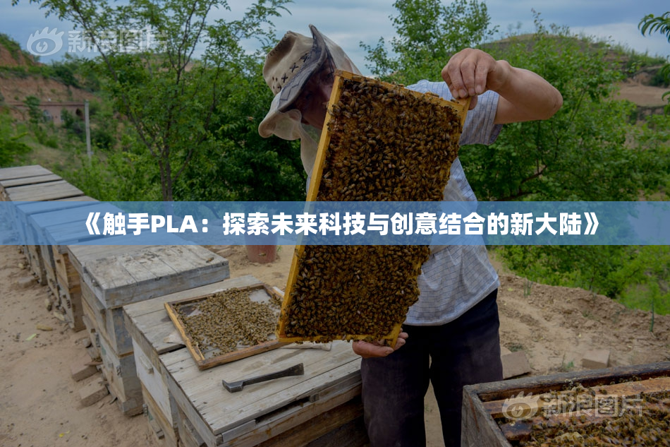《触手PLA：探索未来科技与创意结合的新大陆》
