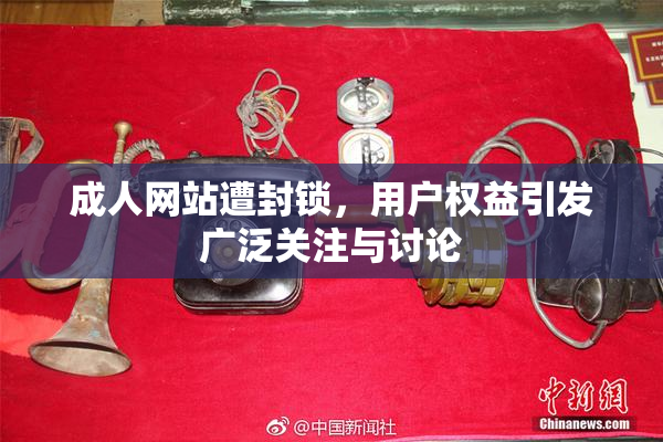 成人网站遭封锁，用户权益引发广泛关注与讨论