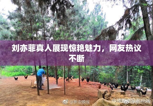 刘亦菲真人展现惊艳魅力，网友热议不断