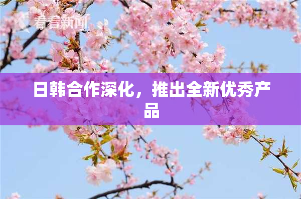 日韩合作深化，推出全新优秀产品