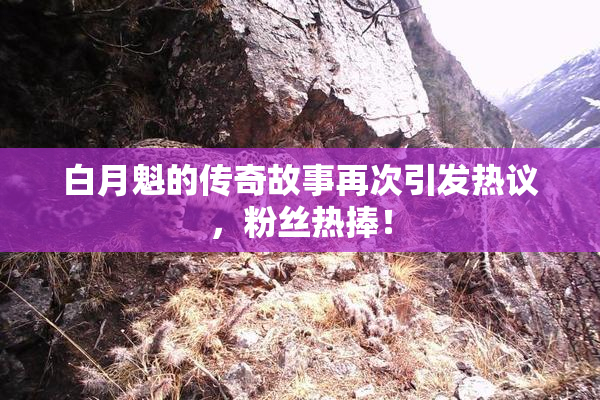 白月魁的传奇故事再次引发热议，粉丝热捧！