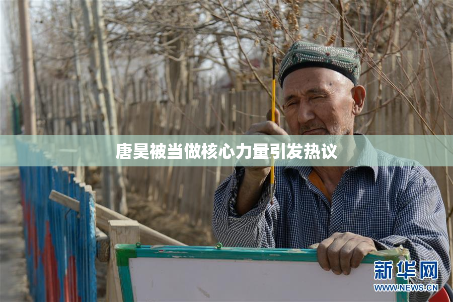 唐昊被当做核心力量引发热议