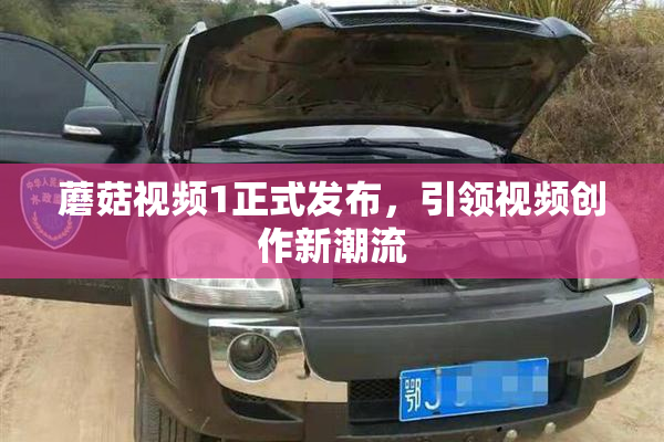 蘑菇视频1正式发布，引领视频创作新潮流