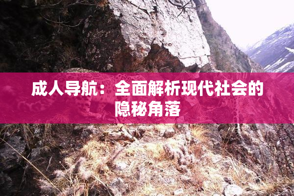 成人导航：全面解析现代社会的隐秘角落