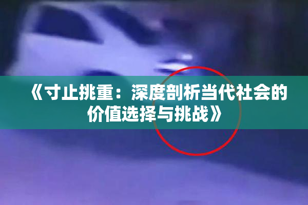 《寸止挑重：深度剖析当代社会的价值选择与挑战》