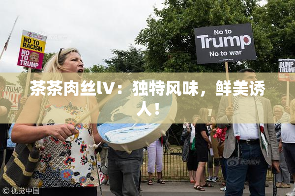 茶茶肉丝lV：独特风味，鲜美诱人！
