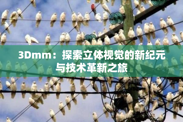 3Dmm：探索立体视觉的新纪元与技术革新之旅