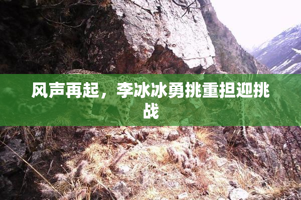 风声再起，李冰冰勇挑重担迎挑战