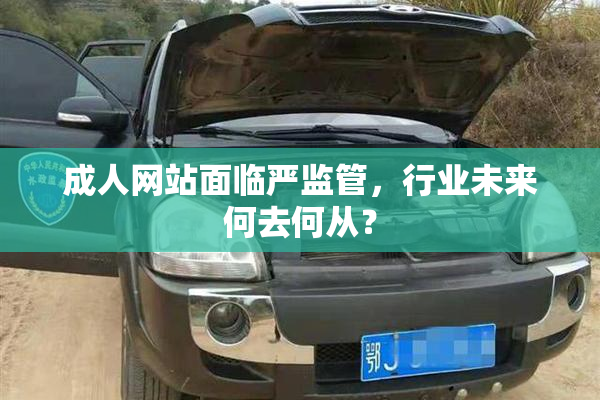 成人网站面临严监管，行业未来何去何从？