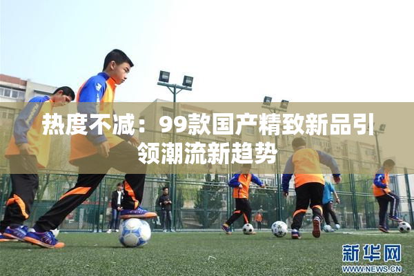 热度不减：99款国产精致新品引领潮流新趋势