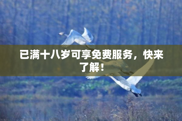 已满十八岁可享免费服务，快来了解！