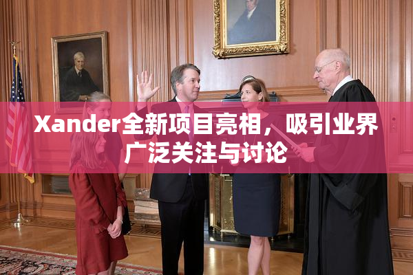 Xander全新项目亮相，吸引业界广泛关注与讨论