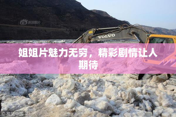 姐姐片魅力无穷，精彩剧情让人期待