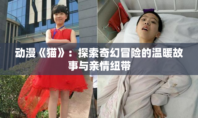 动漫《猫》：探索奇幻冒险的温暖故事与亲情纽带