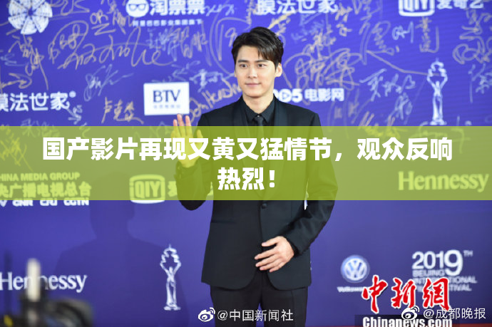 国产影片再现又黄又猛情节，观众反响热烈！
