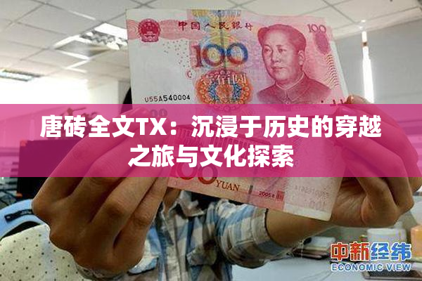 唐砖全文TX：沉浸于历史的穿越之旅与文化探索