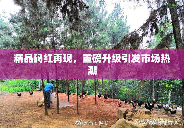 精品码红再现，重磅升级引发市场热潮