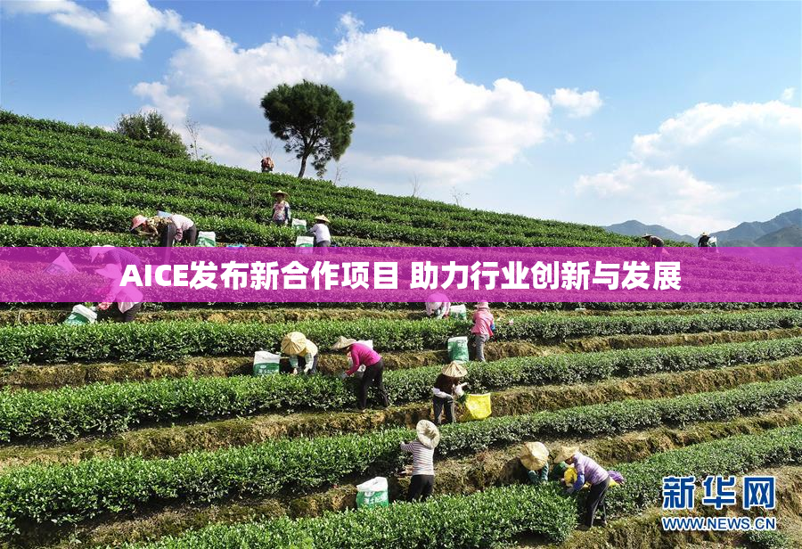 AICE发布新合作项目 助力行业创新与发展
