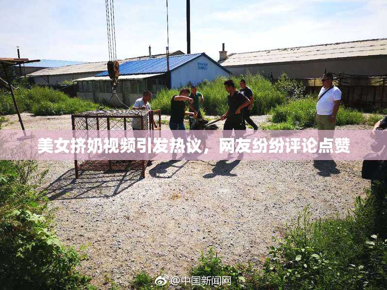 美女挤奶视频引发热议，网友纷纷评论点赞