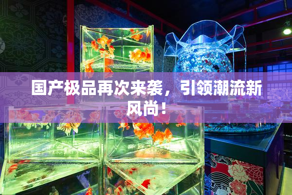 国产极品再次来袭，引领潮流新风尚！