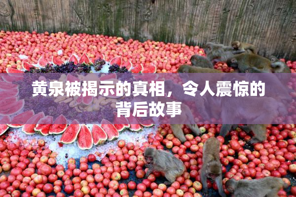 黄泉被揭示的真相，令人震惊的背后故事