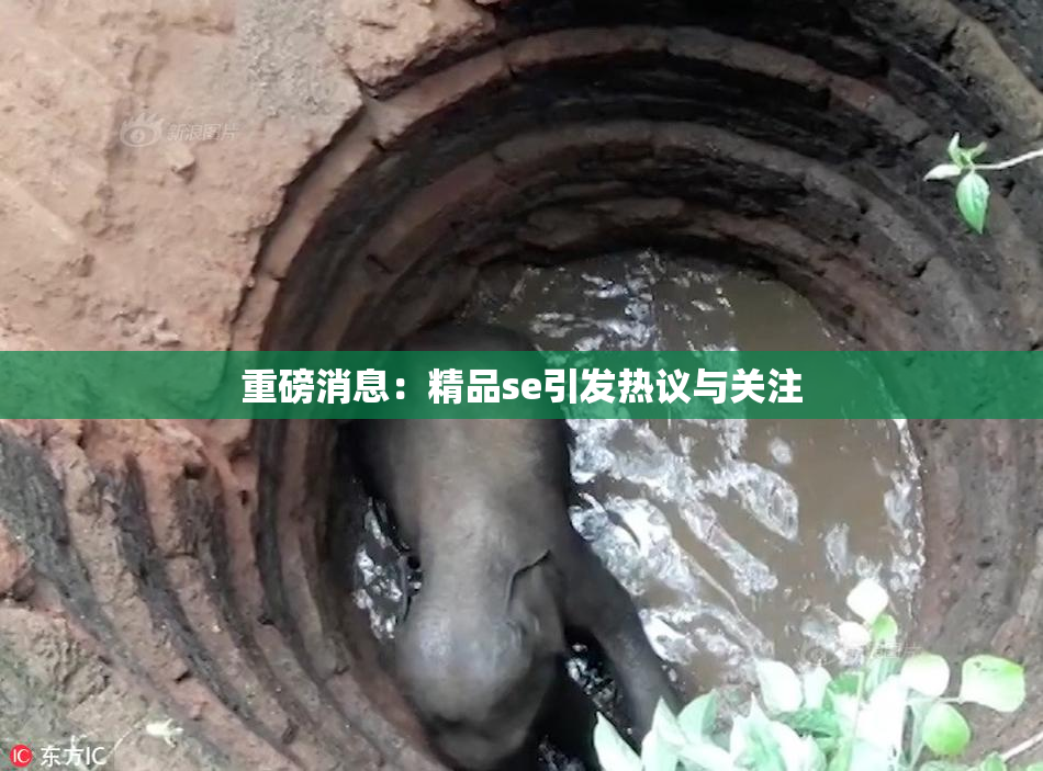 重磅消息：精品se引发热议与关注