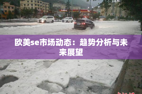 欧美se市场动态：趋势分析与未来展望