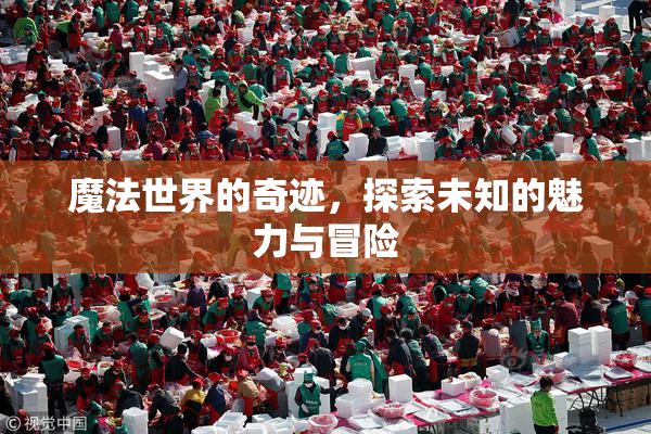 魔法世界的奇迹，探索未知的魅力与冒险