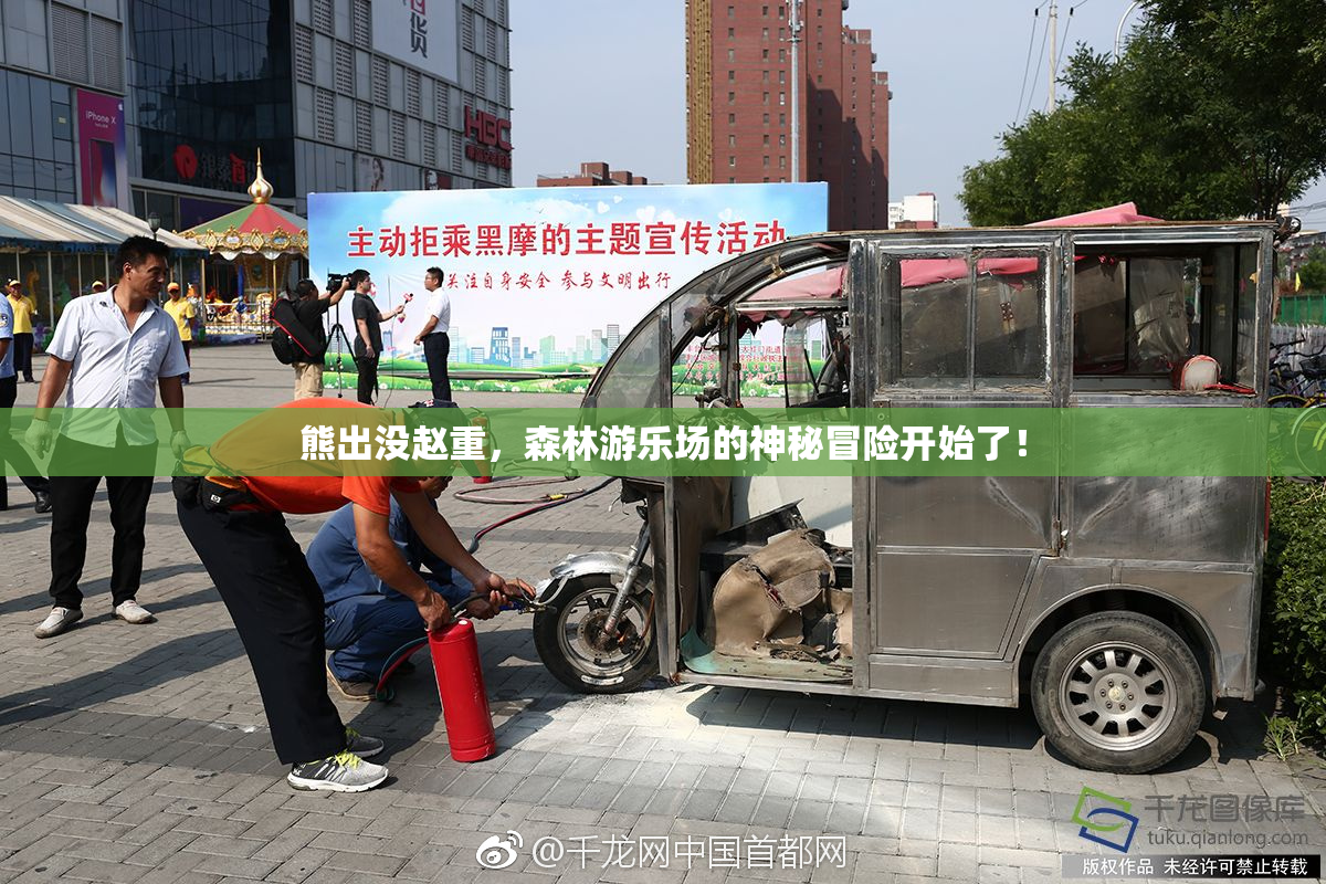 熊出没赵重，森林游乐场的神秘冒险开始了！