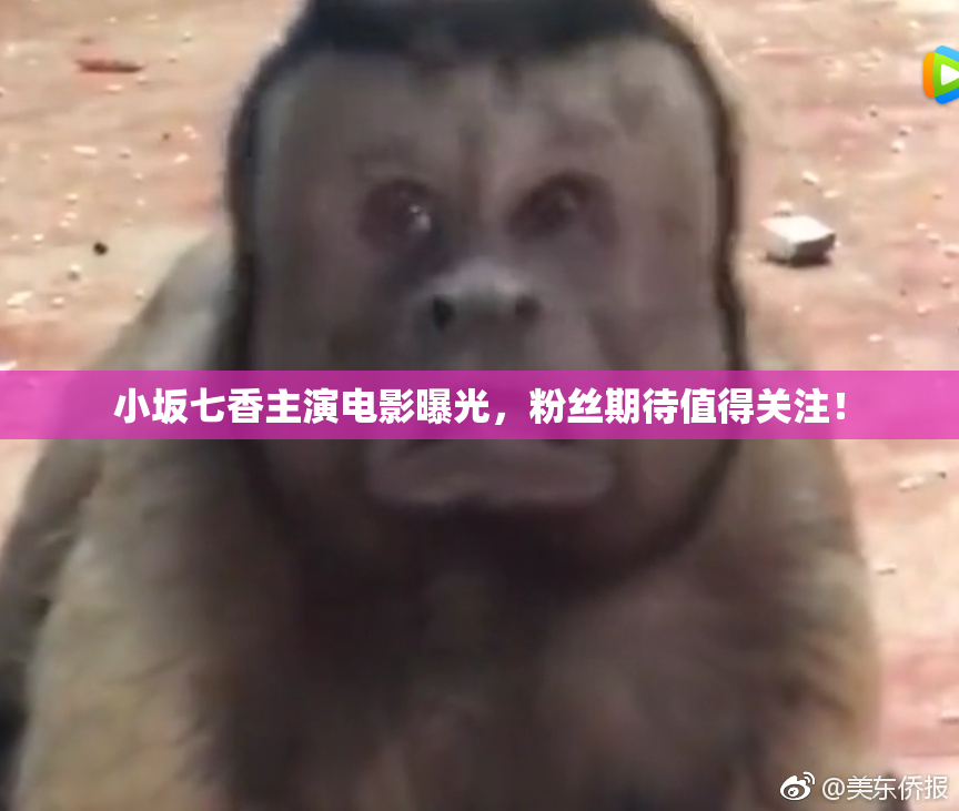 小坂七香主演电影曝光，粉丝期待值得关注！
