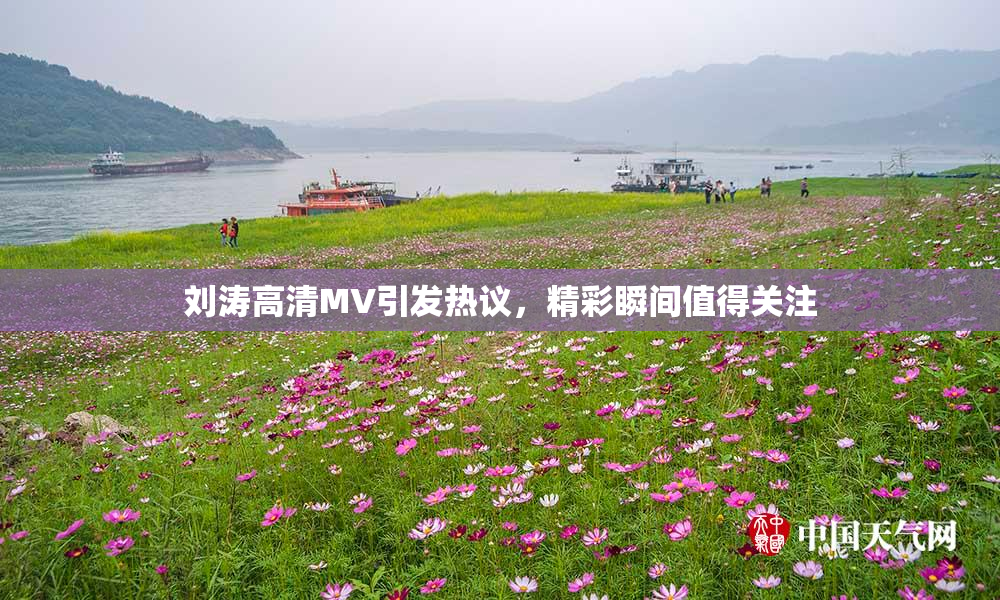 刘涛高清MV引发热议，精彩瞬间值得关注