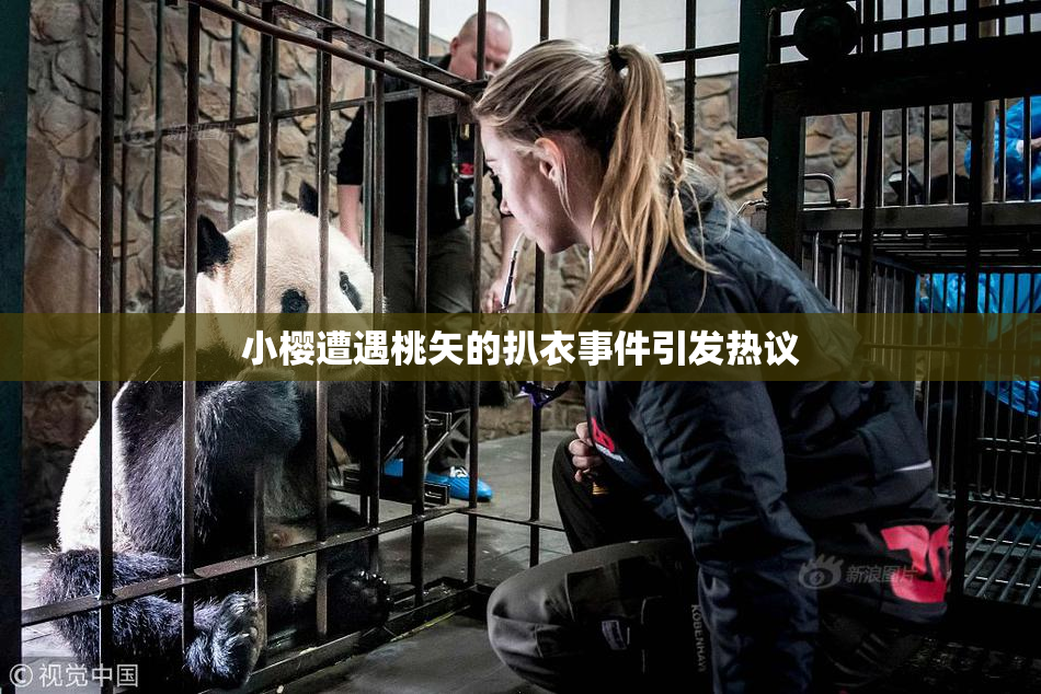 小樱遭遇桃矢的扒衣事件引发热议