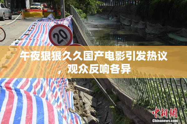 午夜狠狠久久国产电影引发热议，观众反响各异