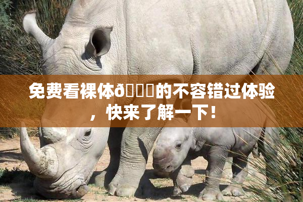 免费看裸体🔞的不容错过体验，快来了解一下！