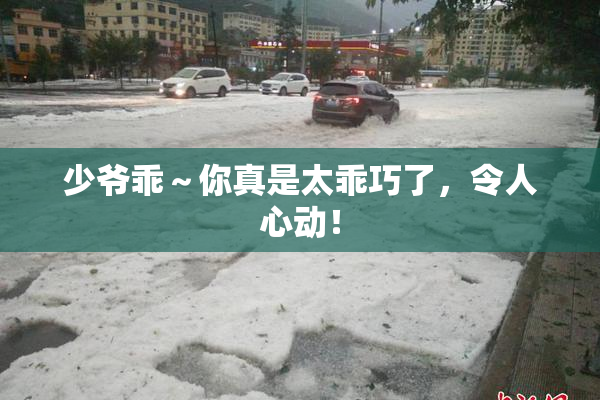少爷乖～你真是太乖巧了，令人心动！