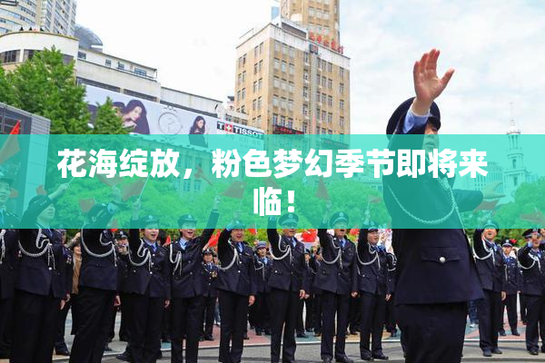 花海绽放，粉色梦幻季节即将来临！