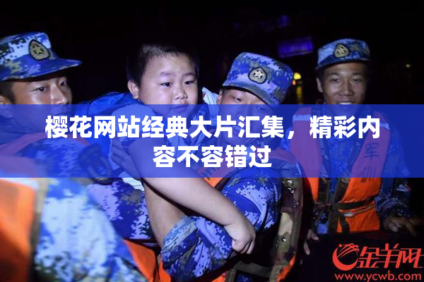 樱花网站经典大片汇集，精彩内容不容错过