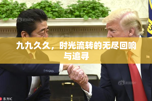 九九久久，时光流转的无尽回响与追寻