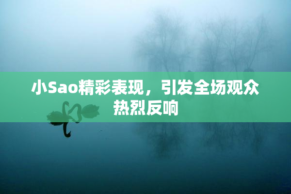 小Sao精彩表现，引发全场观众热烈反响